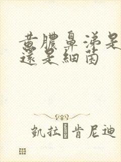 黄脓鼻涕是病毒还是细菌