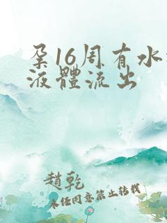 孕16周有水样液体流出