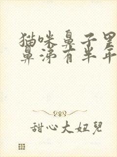 猫咪鼻子里有黄鼻涕有半年了