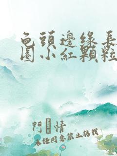 龟头边缘长了一圈小红颗粒