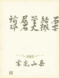 输尿管结石激光碎石大概要多少钱