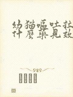 幼猫呕吐拉稀吃什么药见效快