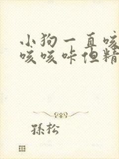 小狗一直咳嗽咳咳咳咔但精神很好