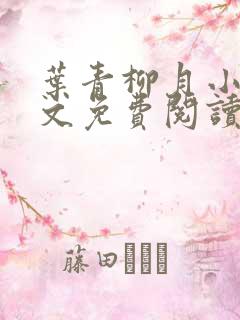 叶青柳月小说全文免费阅读无弹窗