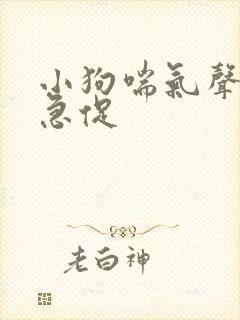 小狗喘气声音大急促