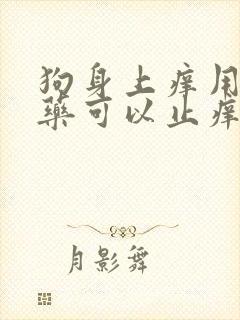 狗身上痒用什么药可以止痒