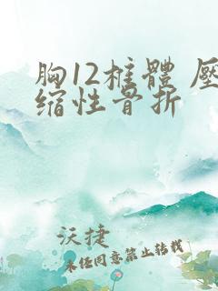 胸12椎体 压缩性骨折