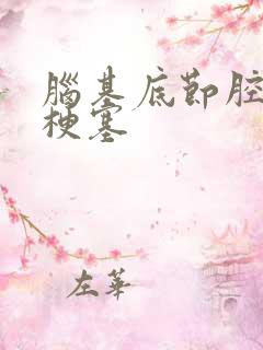 脑基底节腔隙性梗塞