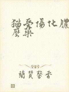 猫受伤化脓吃什么药