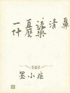 一直流清鼻涕吃什么药