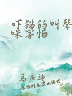 吓猫的叫声让猫咪害怕