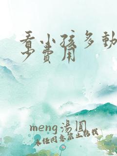 看小孩多动花多少费用