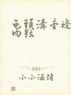 龟头沟旁边 小肉粒