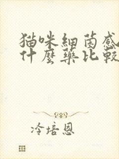 猫咪细菌感染用什么药比较好