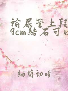 输尿管上段0.9cm结石可以体外碎石吗