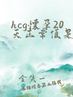 hcg怀孕20天正常值是多少