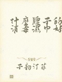 什么牌子的酒精消毒湿巾好