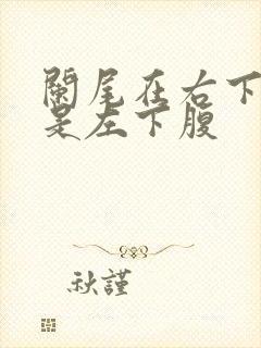 阑尾在右下腹还是左下腹