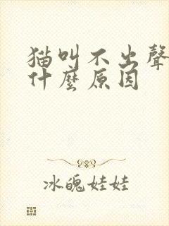 猫叫不出声音是什么原因