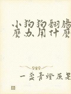 小狗狗翻肠子怎么办用什么药