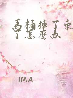 马桶掉了东西堵了怎么办