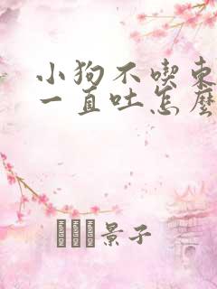 小狗不吃东西还一直吐怎么办