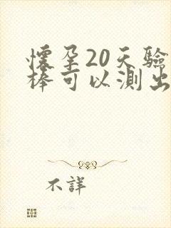 怀孕20天验孕棒可以测出来吗