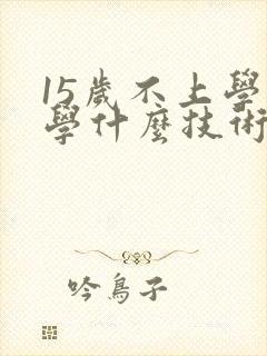 15岁不上学了学什么技术好