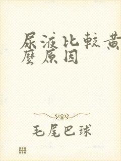 尿液比较黄是什么原因