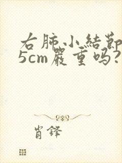 右肺小结节0.5cm严重吗?