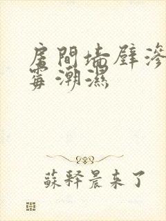 房间墙壁渗水发霉潮湿