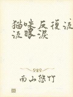 猫咪反复流鼻涕流眼泪