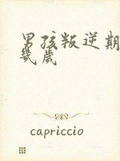 男孩叛逆期一般几岁