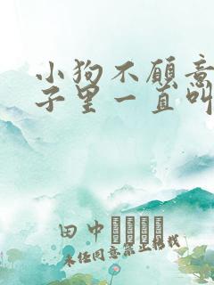 小狗不愿意在笼子里一直叫怎么办