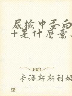 尿检中蛋白质1+是什么意思