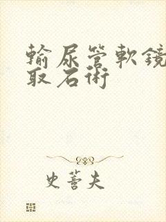 输尿管软镜排石取石术