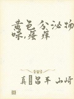 黄色分泌物,异味,瘙痒