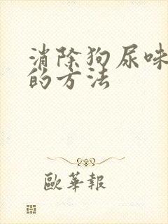 消除狗尿味最好的方法