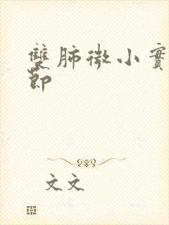 双肺微小实性结节