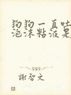 狗狗一直吐白色泡沫粘液是什么原因