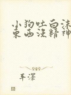 小狗吐白沫不吃东西没精神