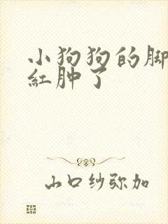 小狗狗的脚趾头红肿了