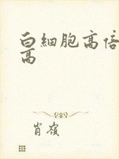 白细胞高倍视野高