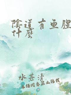 阴道有鱼腥味是什么