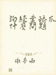 狗经常舔爪子是什么问题