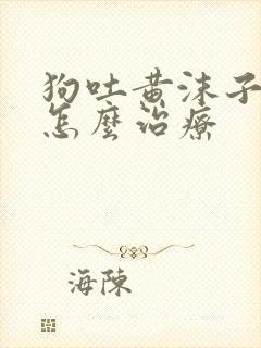 狗吐黄沫子粘液怎么治疗