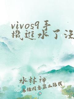 vivos9手机进水了没声音怎么办