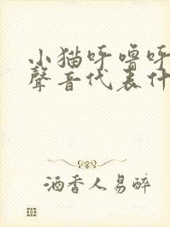 小猫呼噜呼噜的声音代表什么