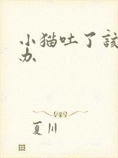 小猫吐了该怎么办