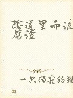 阴道里面流出豆腐渣